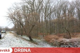 Myslivci, který loni v Ostravě omylem zastřelil člověka, hrozí šest let. Spletl si pytláka ryb s divočákem a střílel